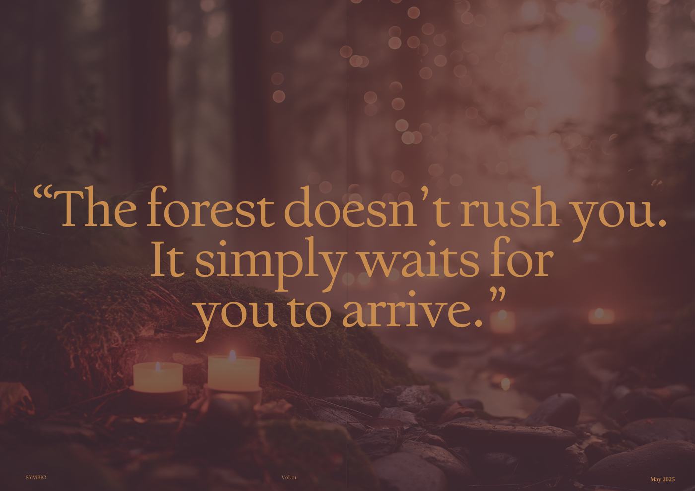 Journal spread with a pull quote set large over the forest